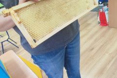 Warsztaty pszczelarskie w Fili Przedszkolaw Zebrzydowej- maj 2023